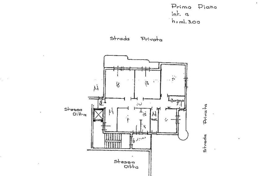 PIANTINA APP.