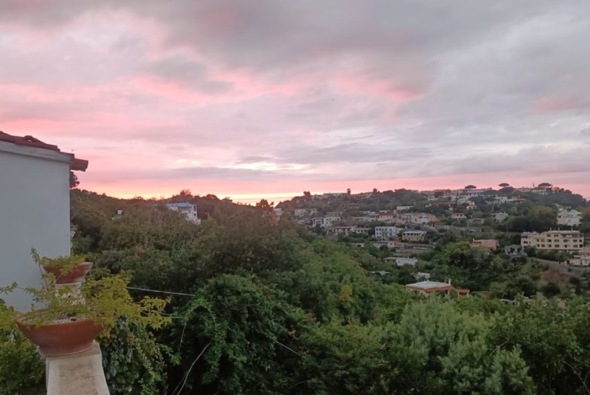 bf6b63bf-6775-4c9a-bcdb-722fc4cf7dd5